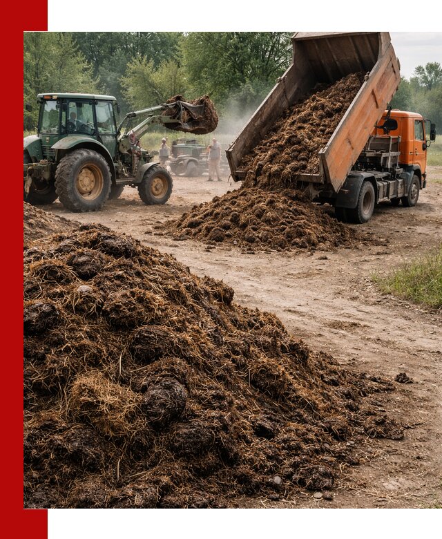 Доставка навоза самосвалами в Сатке для сельхозпотребностей