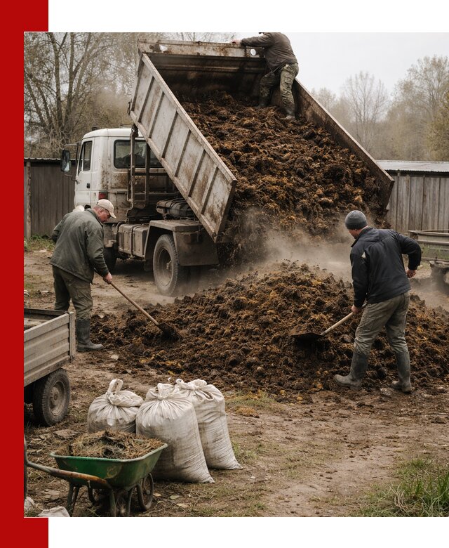 Доставка коровьего навоза самосвалом в Сатке